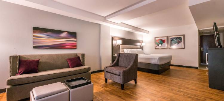 博蒙特广场I-10-瓦尔登假日套房酒店(Holiday Inn & Suites BEAUMONT-PLAZA (I-10 & WALDEN) by IHG)图片