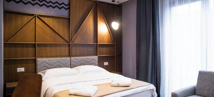 博罗瓦别墅健康水疗度假村(Vila Borova Wellness&SPA Resort)图片
