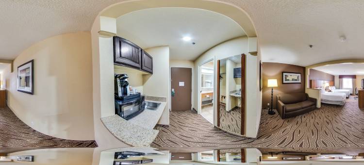 品质酒店及套房机场北 - 石橡树(Quality Inn & Suites Airport North - Stone Oak)图片