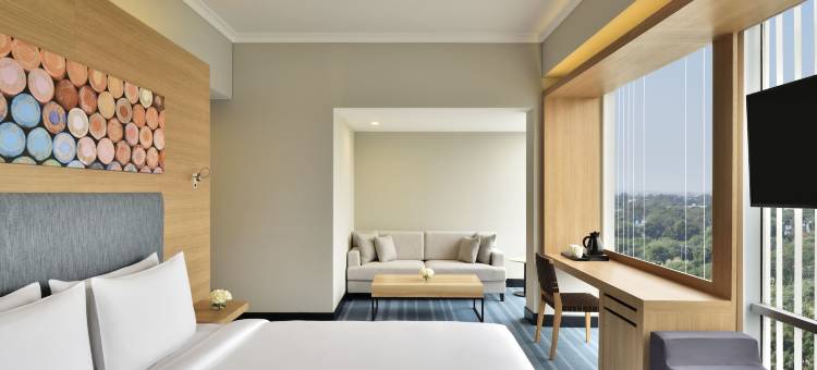 新德里航空城雅乐轩酒店(Aloft New Delhi Aerocity)图片