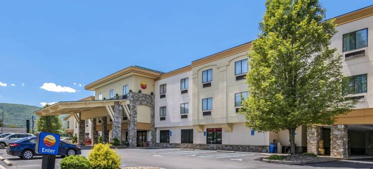 威廉斯波特舒适酒店(Comfort Inn Williamsport)图片