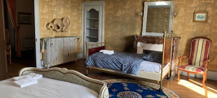 布雷特城堡酒店(Château de Blet)图片