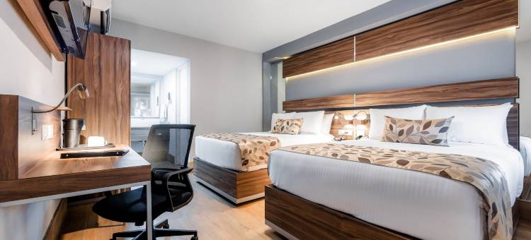 北蒙特雷舒眠酒店(Sleep Inn Monterrey Norte)图片