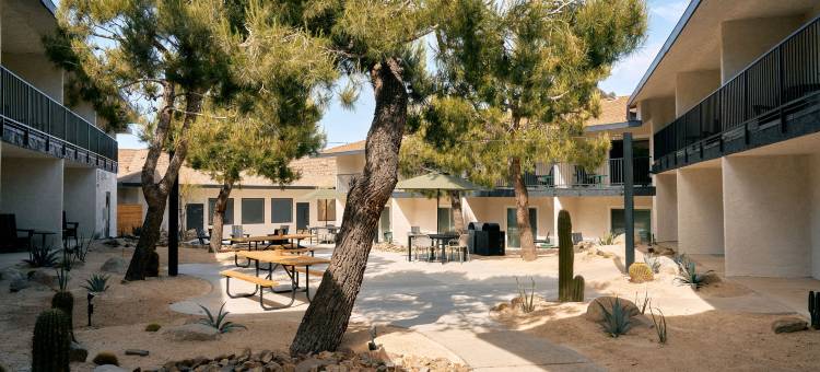 乔舒亚树田野站(Field Station Joshua Tree)图片