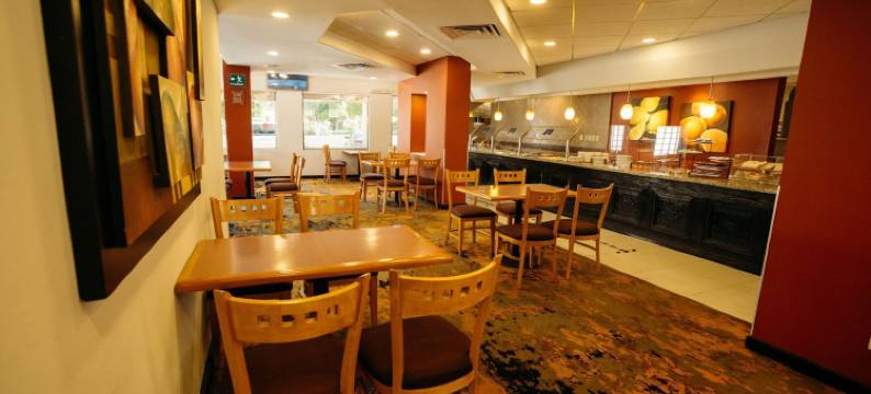 阿拉扎埃莫西约酒店(Hotel Araiza Hermosillo)图片
