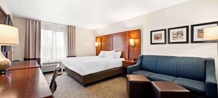 迪凯特-福赛斯舒适套房酒店(Comfort Inn & Suites Decatur-Forsyth)图片