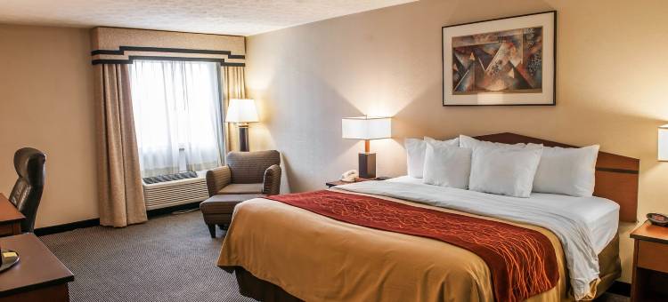 印第安纳波利斯南I-65舒适酒店(Comfort Inn Indianapolis South I-65)图片