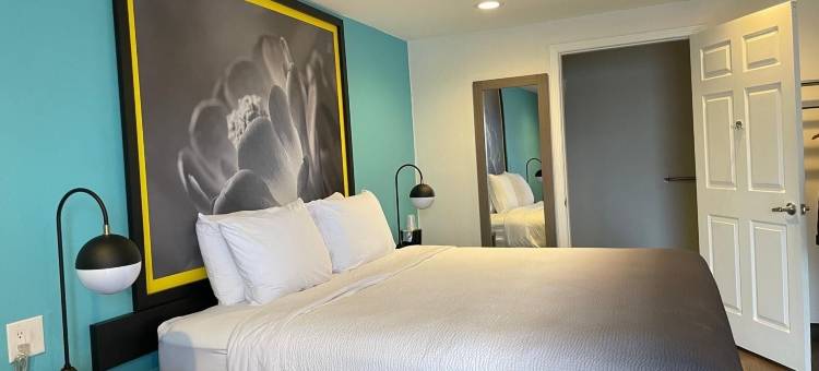 威奇托福尔斯温德姆速8酒店(Super 8 by Wyndham Wichita Falls)图片