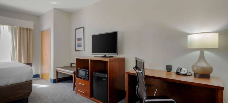 亚特兰大南斯托克布里奇舒适套房酒店(Comfort Suites Stockbridge Atlanta South)图片