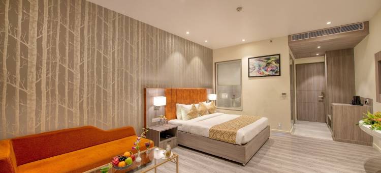 勒克瑙迪普克拉克斯旅馆酒店(Hotel Deep Clarks Inn Lucknow)图片