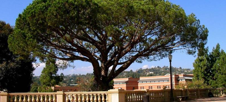 迈索尔大酒店(The Grand Inn Mysore)图片