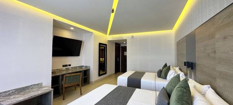 安特雷查普尔特佩克酒店(Hotel Antré Chapultepec)图片