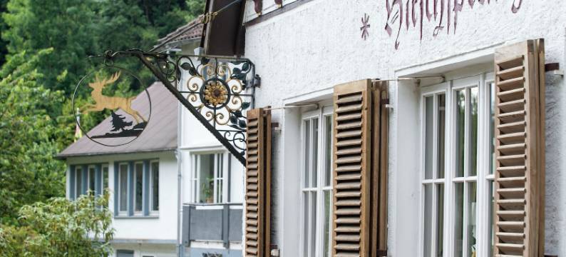 兰德豪斯希尔施普龙旅馆(Landhaus Hirschsprung)图片