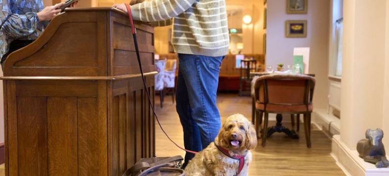 白马酒店(The White Horse)图片