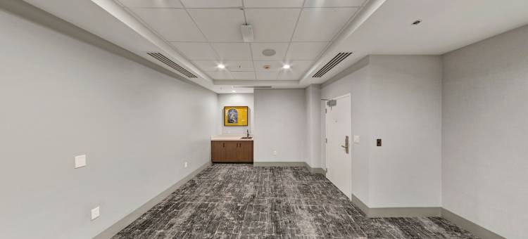 洲际酒店集团新奥尔良法语区英迪格酒店(Hotel Indigo New Orleans - French Quarter)图片