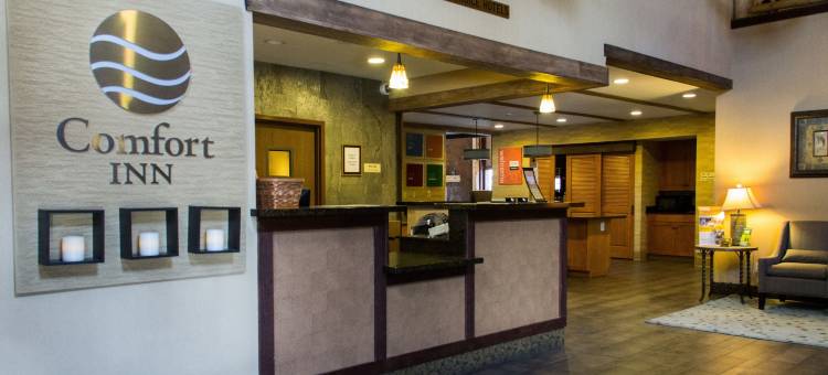 I-17&I-40号舒适酒店(Comfort Inn I-17 & I-40)图片