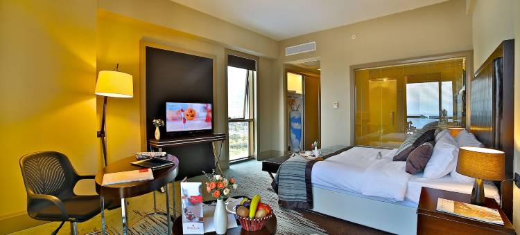 伊斯肯德伦温德姆华美达酒店(Ramada by Wyndham Iskenderun)图片
