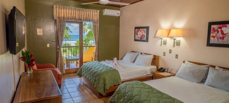 曼努埃尔安东尼奥酒店(Hotel Manuel Antonio)图片