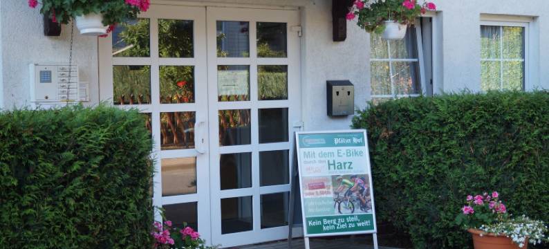 韦尼格罗德普法尔泽霍夫雷吉奥酒店(Regiohotel Pfälzer Hof Wernigerode)图片