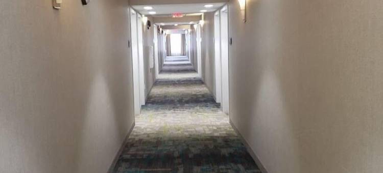 拉斯克鲁塞斯10号州际公路欢朋套房酒店(Hampton Inn & Suites Las Cruces I-10)图片