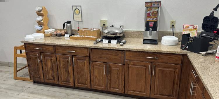 苏城蔚景温德姆酒店(Wingate by Wyndham Sioux City)图片