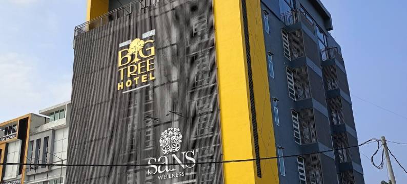 大树酒店(BIG TREE HOTEL)图片