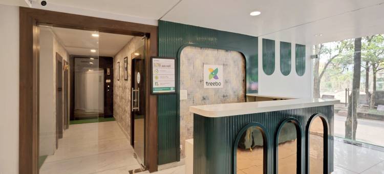 Treebo 光环(Treebo the Aura)图片