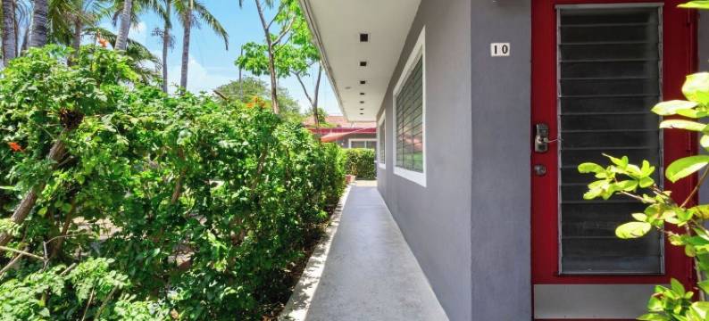 好莱坞，佛罗里达州的舒适两卧室 - 宠物友好(Bright 2Br Getaway | BBQ, Garden & Parking)图片