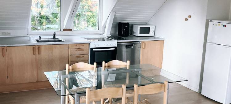 维堡别墅公寓(Villa Apartments Viborg)图片
