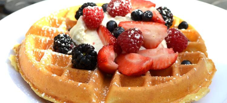 贝里春天旅馆(Berry Springs Lodge)图片