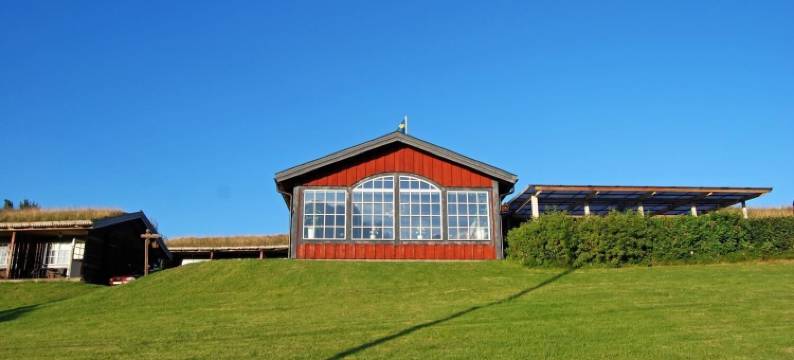 达拉瓦德西斯酒店(Dala Wärdshus)图片