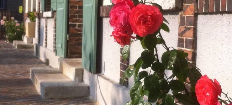 奥贝皮尼斯酒店(Hotel les Aubépines)图片