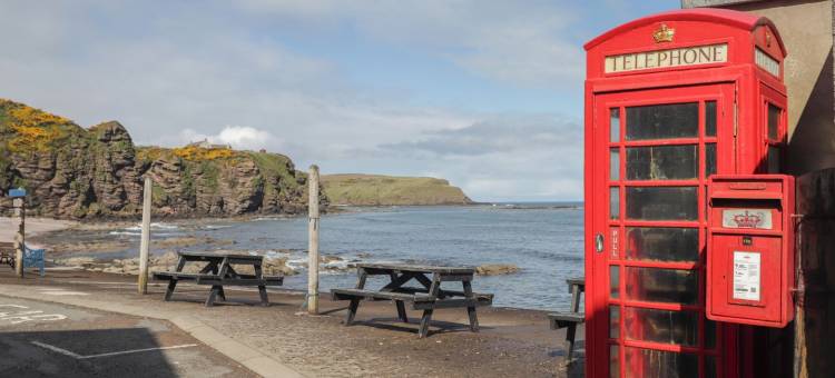 劳雷尔斯(The Laurels)图片