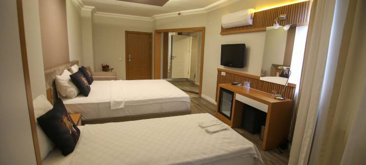 塞维克宫酒店(Cevik Palace Otel)图片