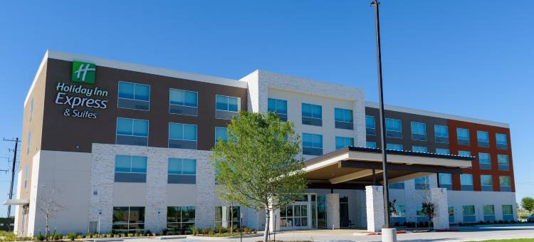 麦金尼智选假日酒店及套房-弗里斯科东-IHG旗下(Holiday Inn Express & Suites Mckinney - Frisco East)图片