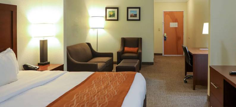 舒适酒店及套房，奥德萨I-20(Comfort Inn & Suites, Odessa I-20)图片