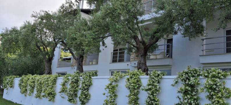 安奈特别墅酒店(Hotel Villa Annette)图片