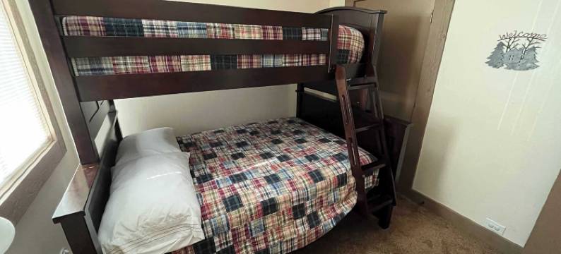 银树庇护所，在白杨树林中(Silver Tree Sanctuary in Aspen Grove!)图片