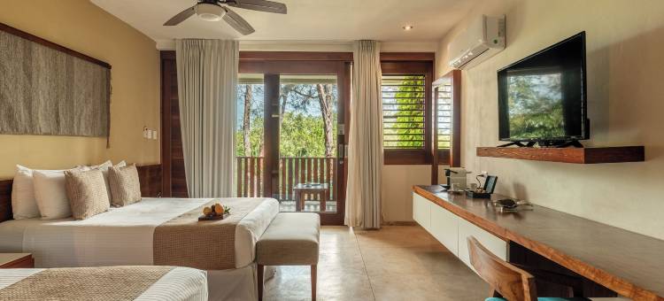 卡拉科尔别墅酒店(Villas Caracol)图片