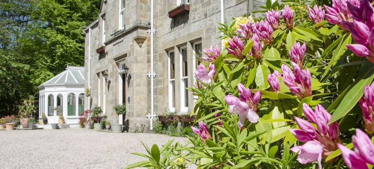 雷文斯考特旅馆(Ravenscourt House, Guest House)图片