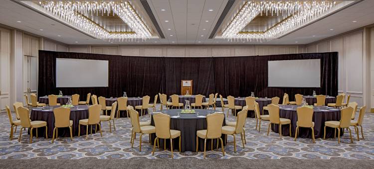 格林威广场休斯顿希尔顿逸林酒店(DoubleTree by Hilton Hotel Houston - Greenway Plaza)图片