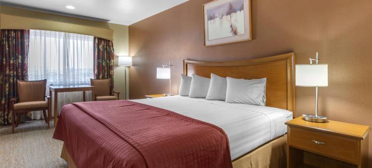 谢利峡谷贝斯特韦斯特酒店(Best Western Canyon de Chelly Inn)图片