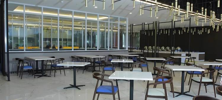 阿贝普拉地平线酒店(Horison Abepura)图片