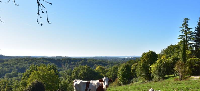 Spacious holiday home with private pool图片