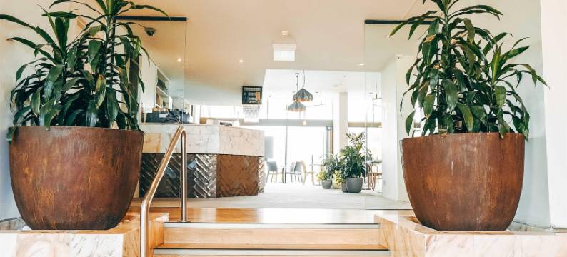 查尔斯敦美居酒店(Mercure Charlestown)图片