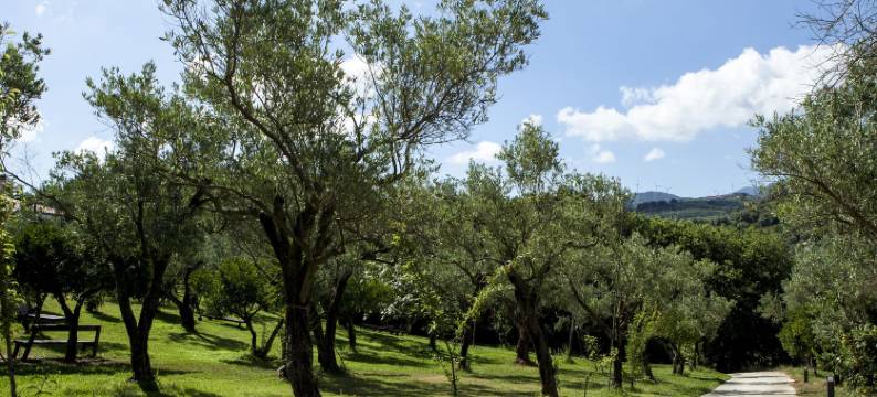 Charming Villa in Maida with Pool & Garden图片