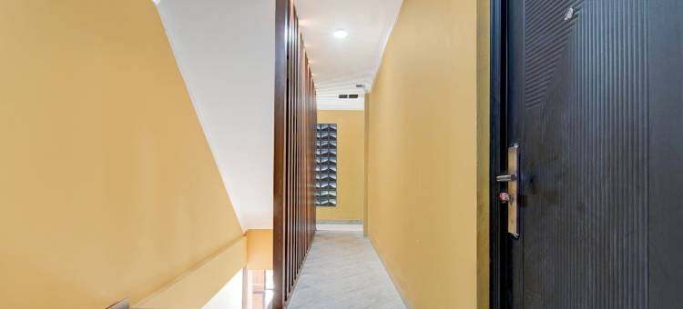 Collection O 94762 星光(Collection O 94762 Starlight)图片