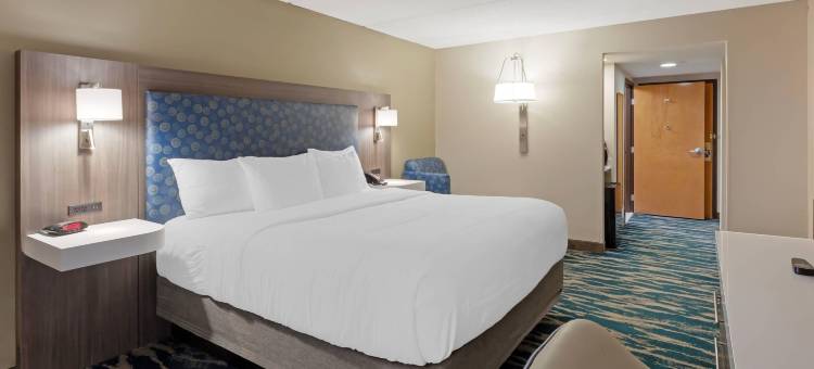 靠近东卡罗来纳大学的格林维尔舒适套房酒店(Comfort Inn & Suites Greenville Near East Carolina University)图片