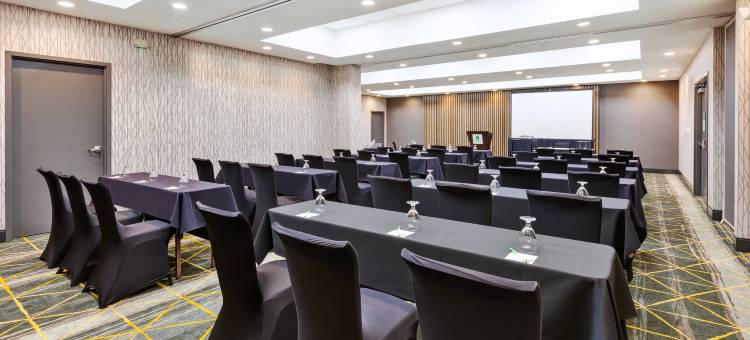 Holiday Inn 大急流城中心(Holiday Inn GRAND RAPIDS DOWNTOWN by IHG)图片