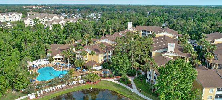 赛普拉斯棕榈温德姆俱乐部酒店(Club Wyndham Cypress Palms)图片